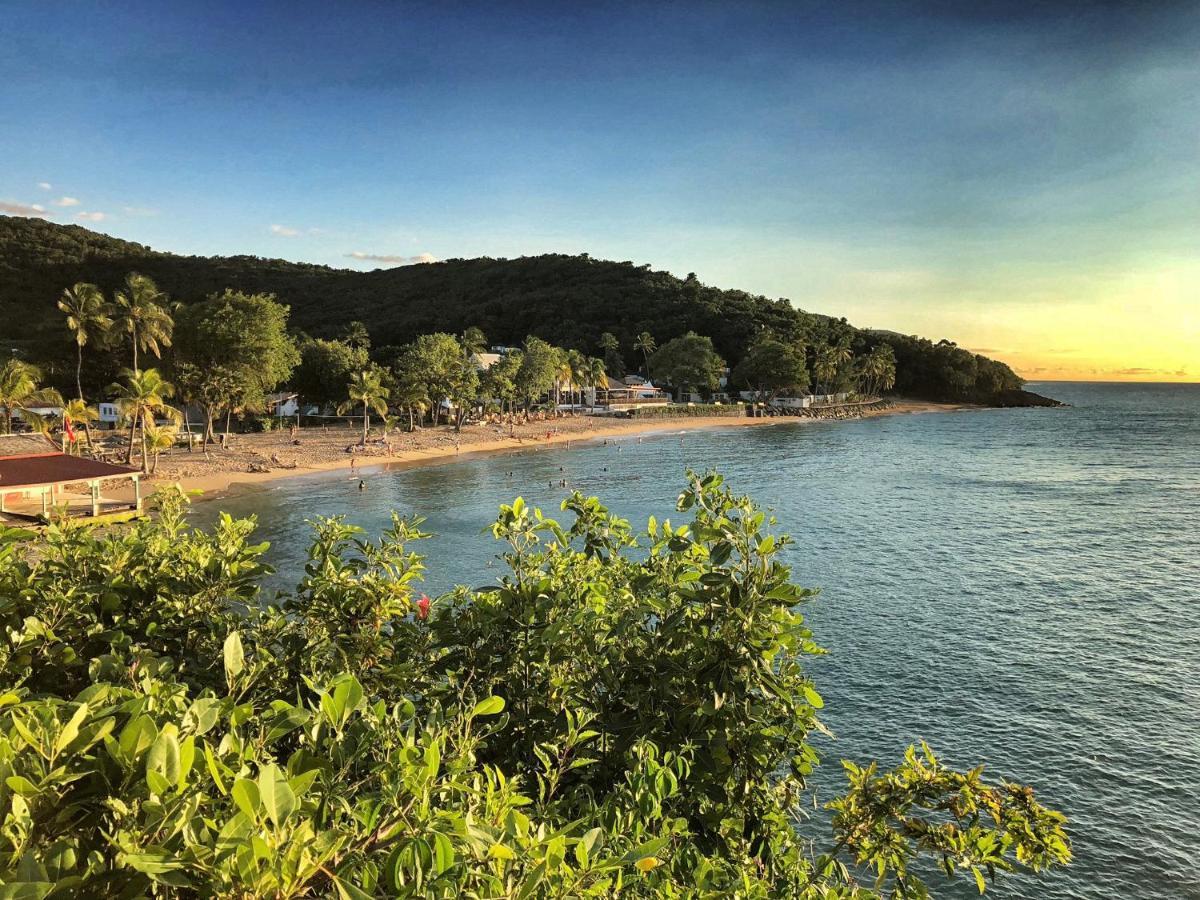 Case Coco Pointe Batterie. Piscine, Vue Mer, 4 P. Deshaies Εξωτερικό φωτογραφία